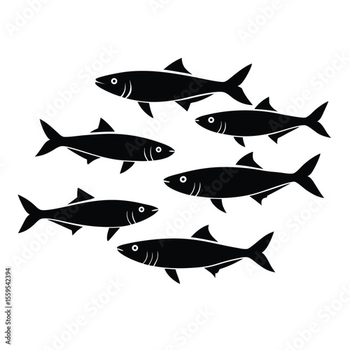 sardine surface feeding fish silhouette vector
