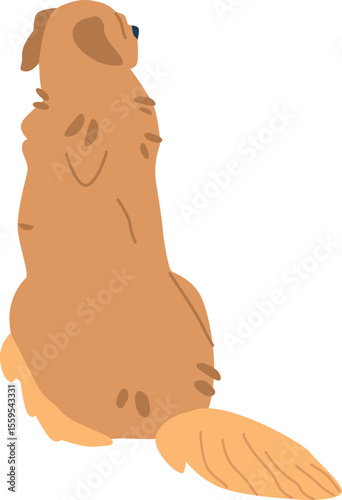 Golden retriever sitting back vector illustration