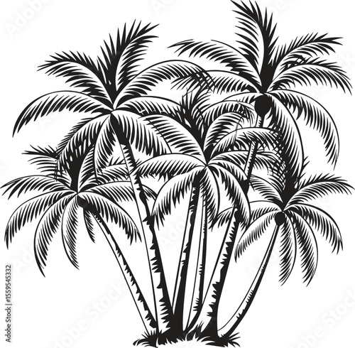 palm trees silhouettes