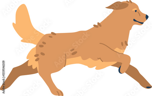 Golden retriever running fast vector illustration