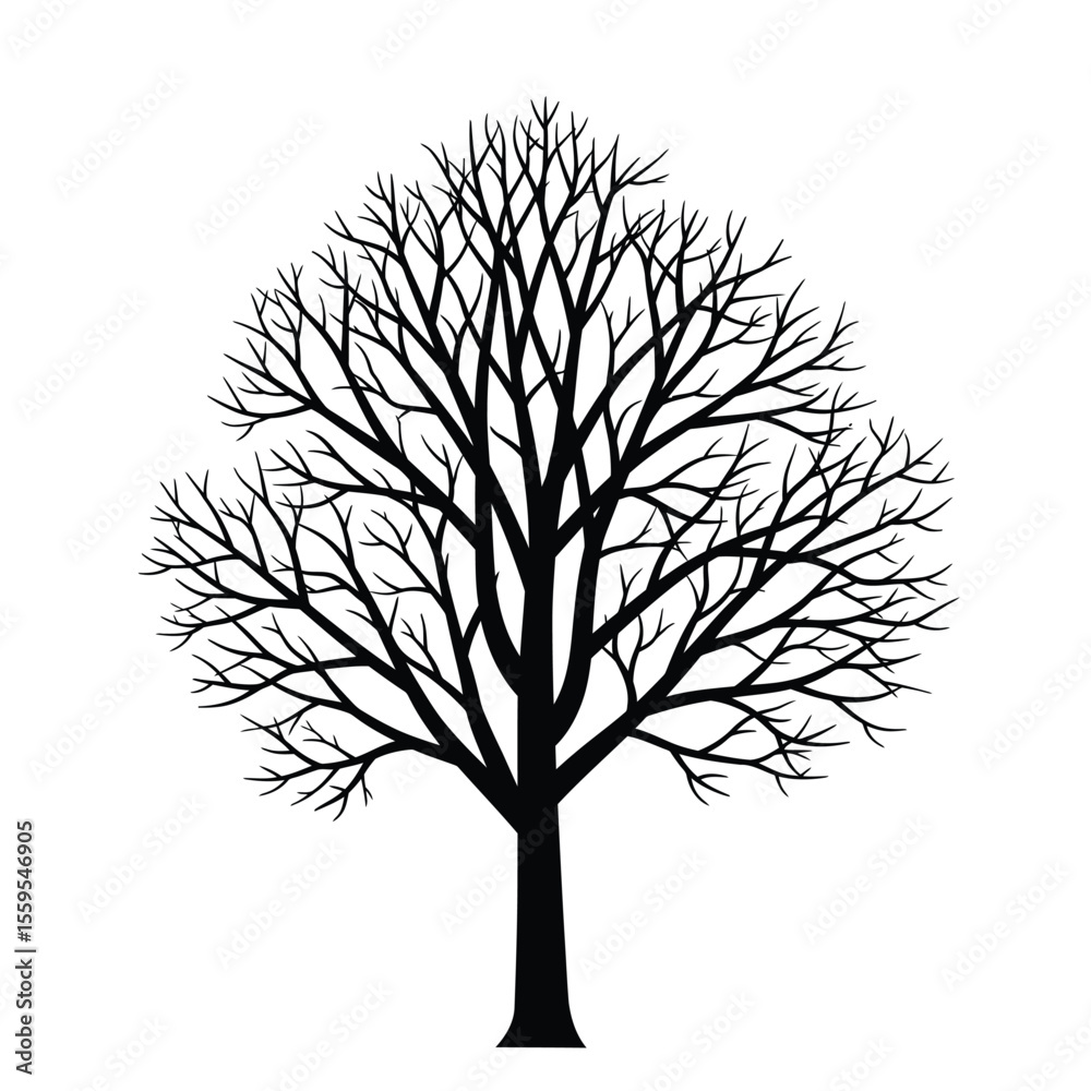 Obraz premium Leafless Winter Tree Silhouette Vector