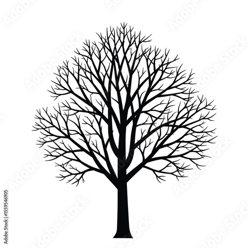 Leafless Winter Tree Silhouette Vector