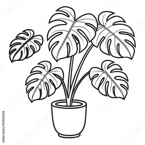 Outlined monstera deliciosa plant gracefully sits inside a simple pot, showcasing its bold shape on transparent background