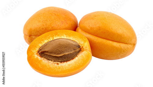 Apricot Kernels Close up Isolated on White Background.