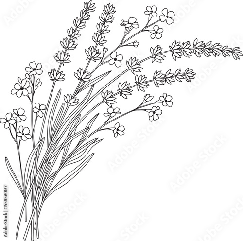 Delicate Floral Bouquet Line Art Illustration of Lavender and ForgetMeNots