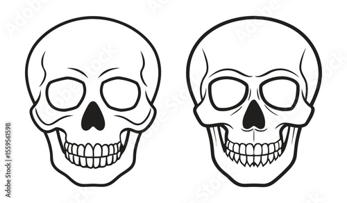 Human Skull Silhouette with Detailed Line Art Featuring Bone Structure and Hollow Eye Sockets for Unique Designs