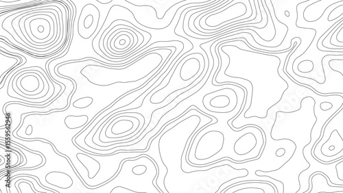 topographic wavy pattern design. 3D waves, White wave paper curved reliefs. Black and white abstract background vector, Abstract topographic contours map background.