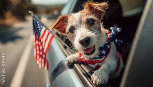 Wallpaper Mural A dog driving a car and carrying a United States flag, celebrating Independence Day on the 4th of July Torontodigital.ca