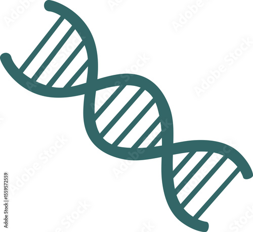 dna strand on white background