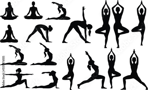 Yoga exercise vector group silhouette of women in stretching, meditation and tree pose
