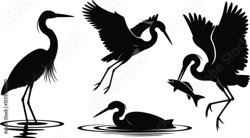 Heron vector silhouette set with birds standing, flying and fishing in lake water