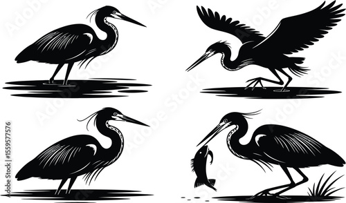 Heron bird silhouette vector collection with fishing, flying and standing poses in swamp or marsh