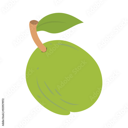 Color icon for  guava