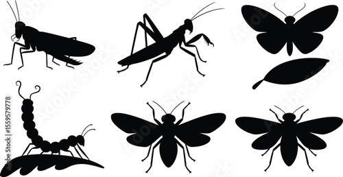Grasshopper and caterpillar silhouette vector illustration with bee, mantis and butterfly