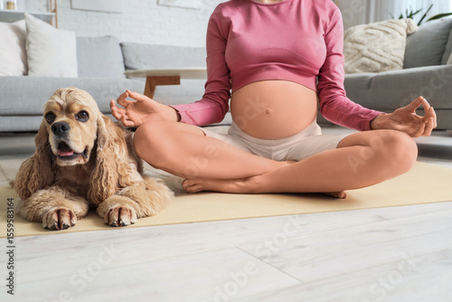 Sporty young pregnant woman...