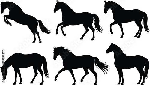 Decorative Horse Silhouette Vector Labels With Stallion Profile, Rearing And Standing Positions
