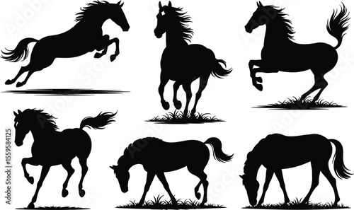 Horse silhouette vector collection with leaping, rearing, grazing, and running poses for animal and equestrian design