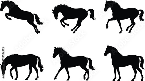 Horse silhouette vector set with rearing, walking, running, and grazing poses for animal, equestrian, and farm design