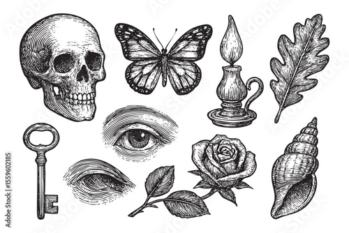 Vintage Skull, Butterfly, Candle, Eye and Nature Elements Illustration
