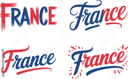 France artistic calligraphy vector with french curved lines and splash details for independence branding print  