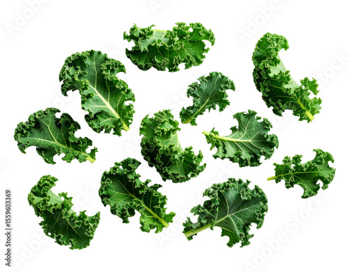 Very realistic photo of heirloom kale leaves, floating in the air, PNG