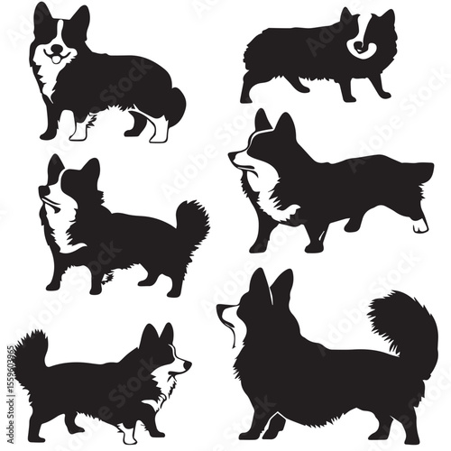 welesh corgi silhouette set, Black & White silhouette set