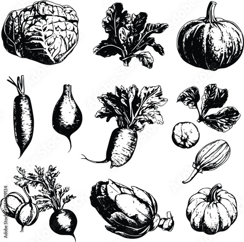 Hand-drawn vector illustration: assorted vegetables- rustic style- monochrome