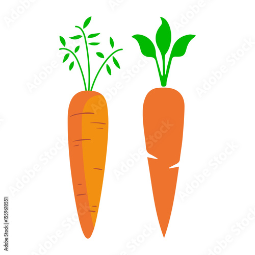 Carrots vector illustration. Carrots with leaf.