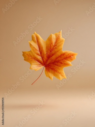 Red maple leaf on brown background