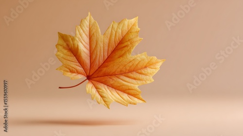Red maple leaf on brown background