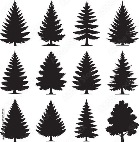 Pine and Bare Tree Woodland Clipart