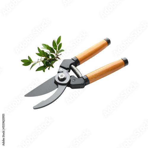 Wallpaper Mural Steel gardening tools with wooden handles, including a shovel, trowel, and scissors, isolated on a white background Torontodigital.ca
