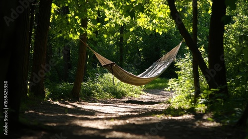 Hammock in shady spot between leafy trees