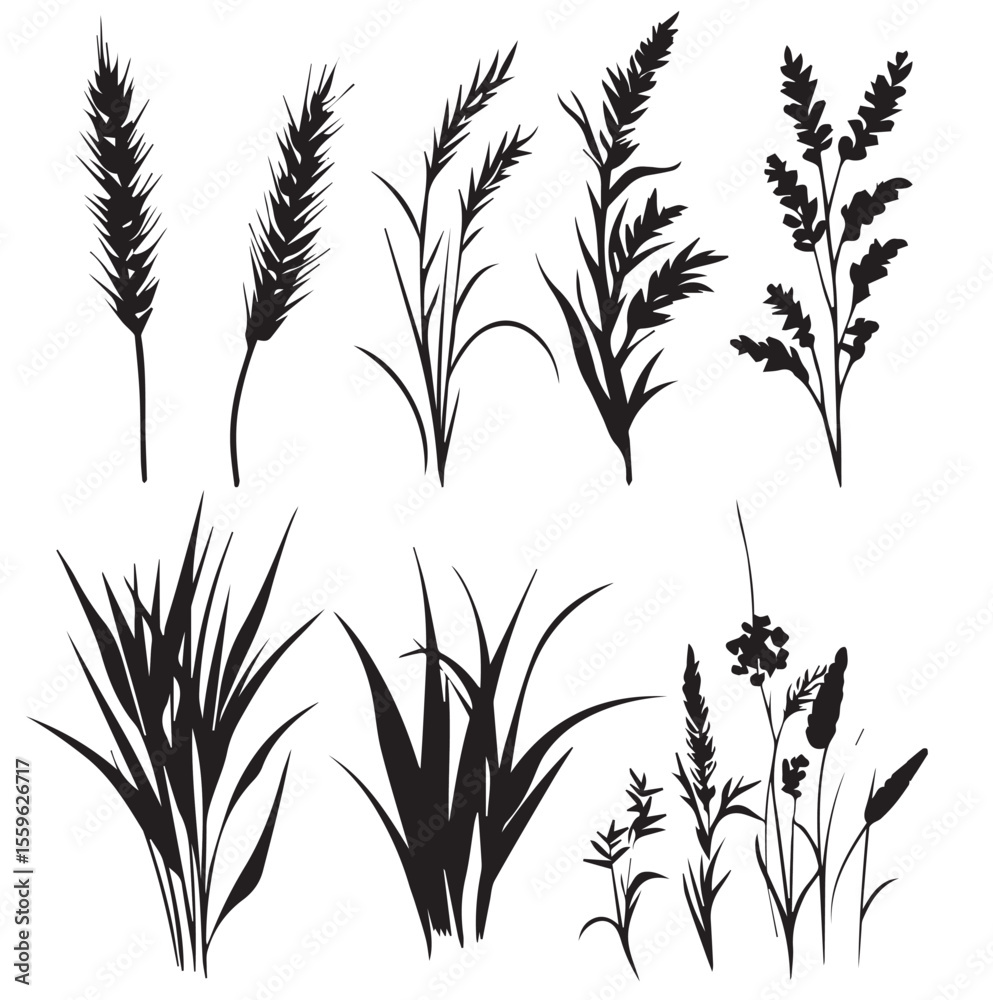 Naklejka premium wheat silhouette set, Black & White silhouette set