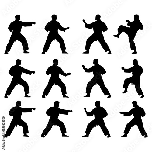 Silhouette illustration of various karate stances and kicks.