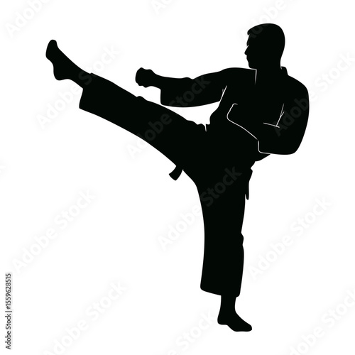A powerful silhouette of a martial artist executing a high kick, demonstrating strength and discipline.