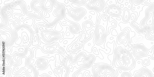 vector geographic contour mounted map background. minimal The pattern discovery vector topo map creative discovery White wave grid stripe line map topography art texture. 