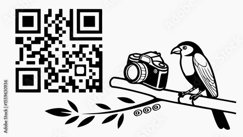 Bird/Photography/Nature