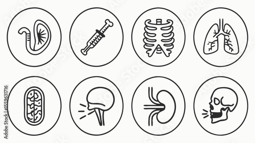 Eight medical icons