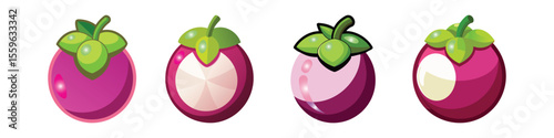 Mangosteen Flat Style Exotic Tropical Fruit Vector Illustration