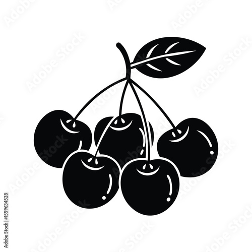 Black and white illustration of a bunch of sweet ripe cherries