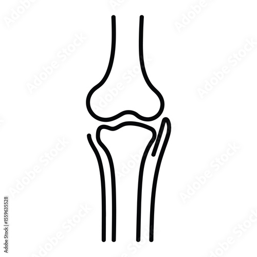 Knee Joint Anatomy Line Art Illustration for Medical or Educational Purposes