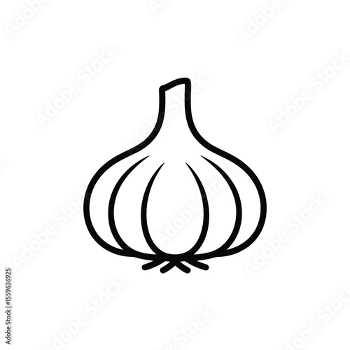 Simple Garlic Bulb Outline Vector Illustration on White Background