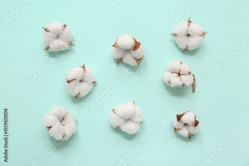 Composition with cotton flo...