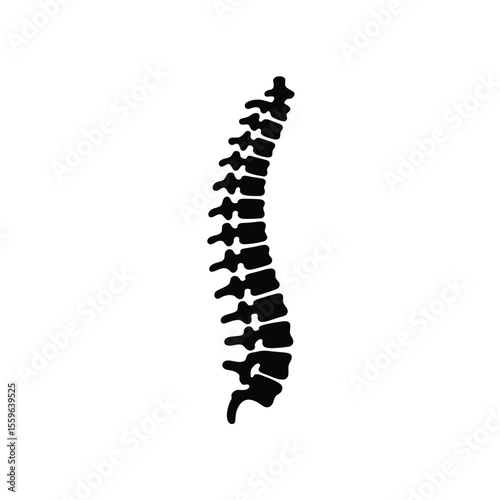Human Spine Anatomy Black Silhouette Illustration