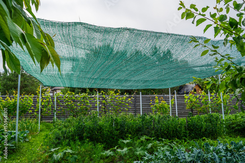 Shading net stretched over the vegetable garden. Protecting vegetable beds from the sun