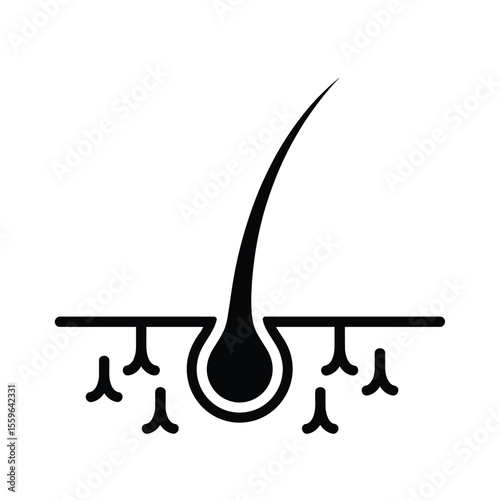 Hair follicle structure illustration skin and hair health concept black and white