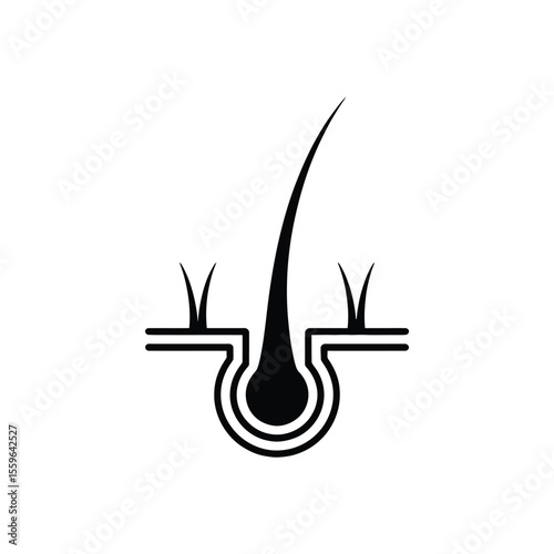 Hair follicle illustration showing hair root shaft and skin layers in black