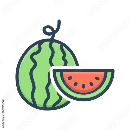 Vector color shadow icon for Melon