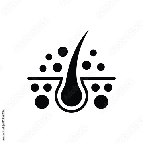 Hair Follicle and Nutrients Illustration